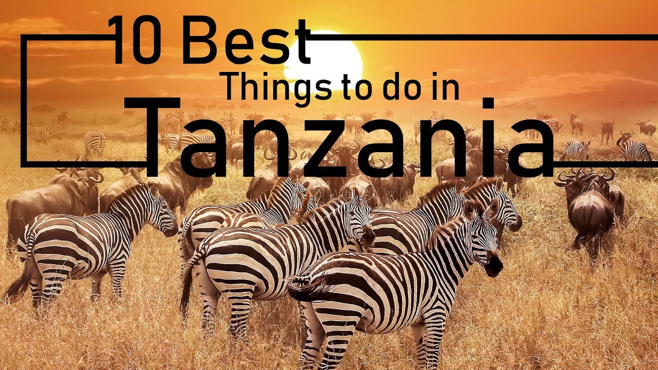 Things To Do And Places To Visit In Tanzania | Must-See Attractions