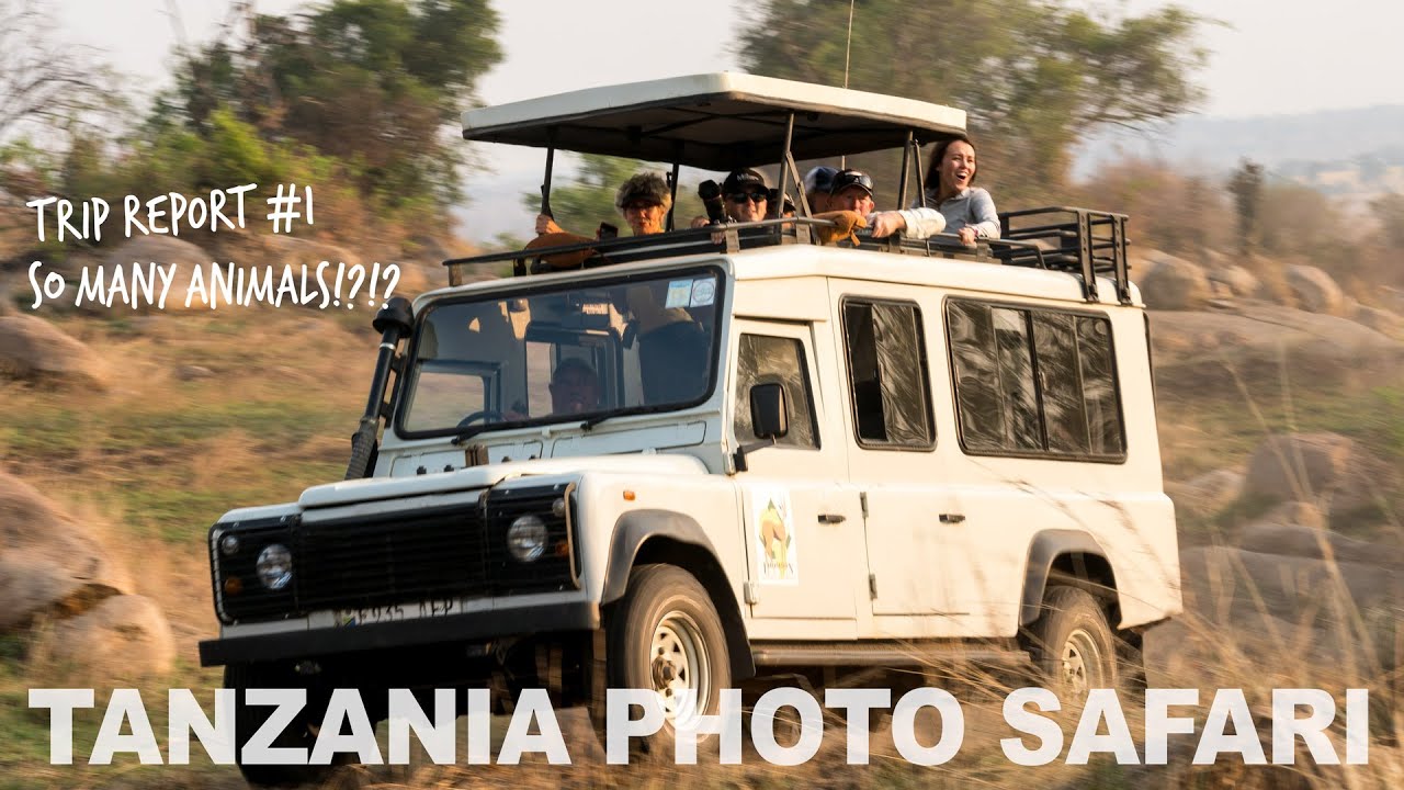 Tanzania Safari - So Many Animals, So Close