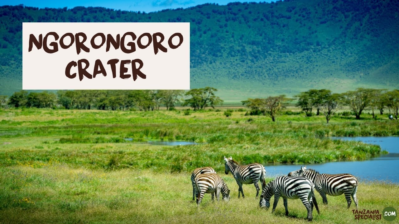Explore Ngorongoro crater with Tanzania Specialist