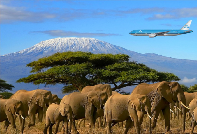 Ankomst til Kilimanjaro Internationale Airport