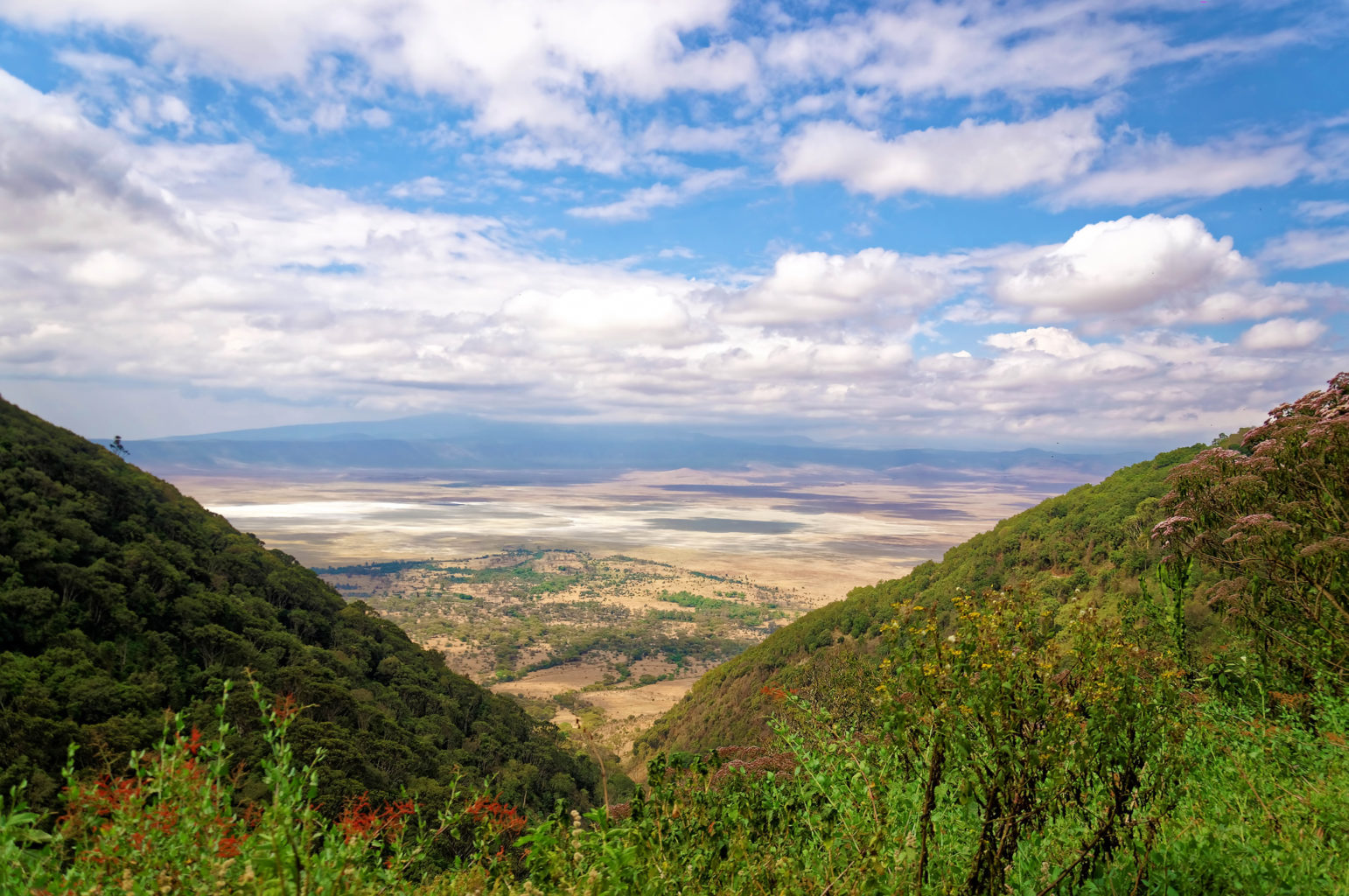 Ngorongoro Conservation Area (inkl. Ngorongoro Crater)