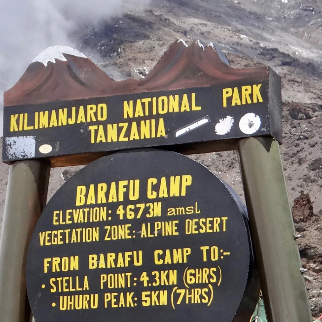 Machame ruten (5/7) | Karanga Camp (4.040 m) - Barafu Camp (4.645 m)