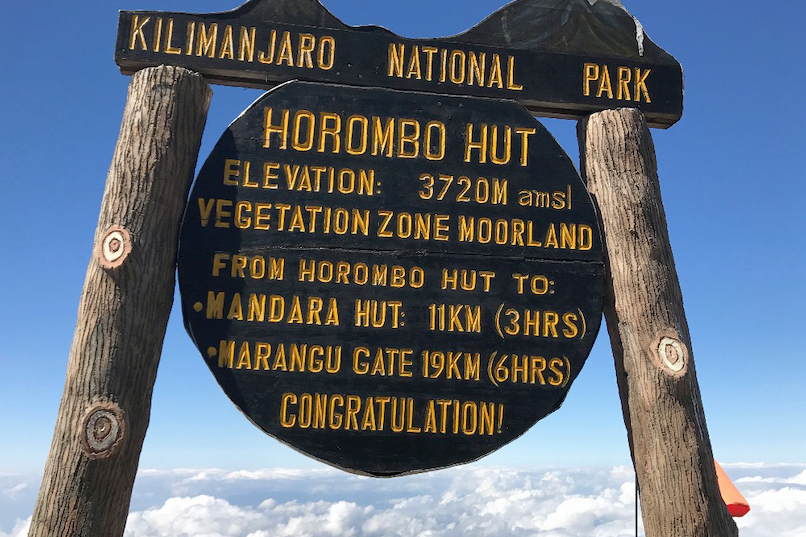 Marangu Route (2/6) | Mandara Huts (2.720 m) – Horombo Huts (3.720 m)