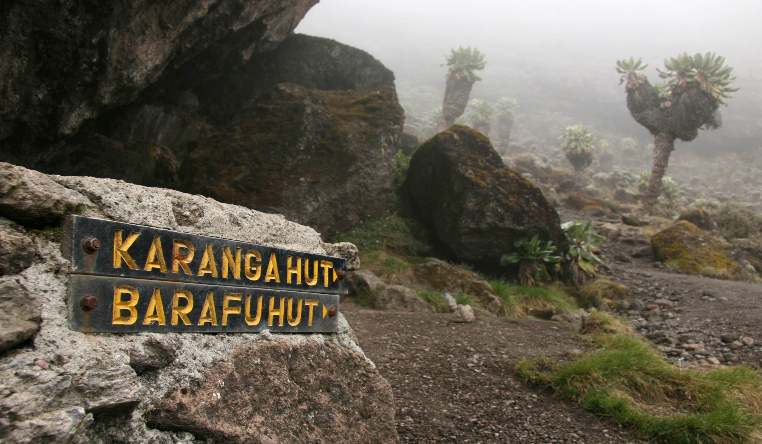 Lemosho Route (4/7) | Barranco Camp (3.950 m) - Karanga Camp (4.040 m)