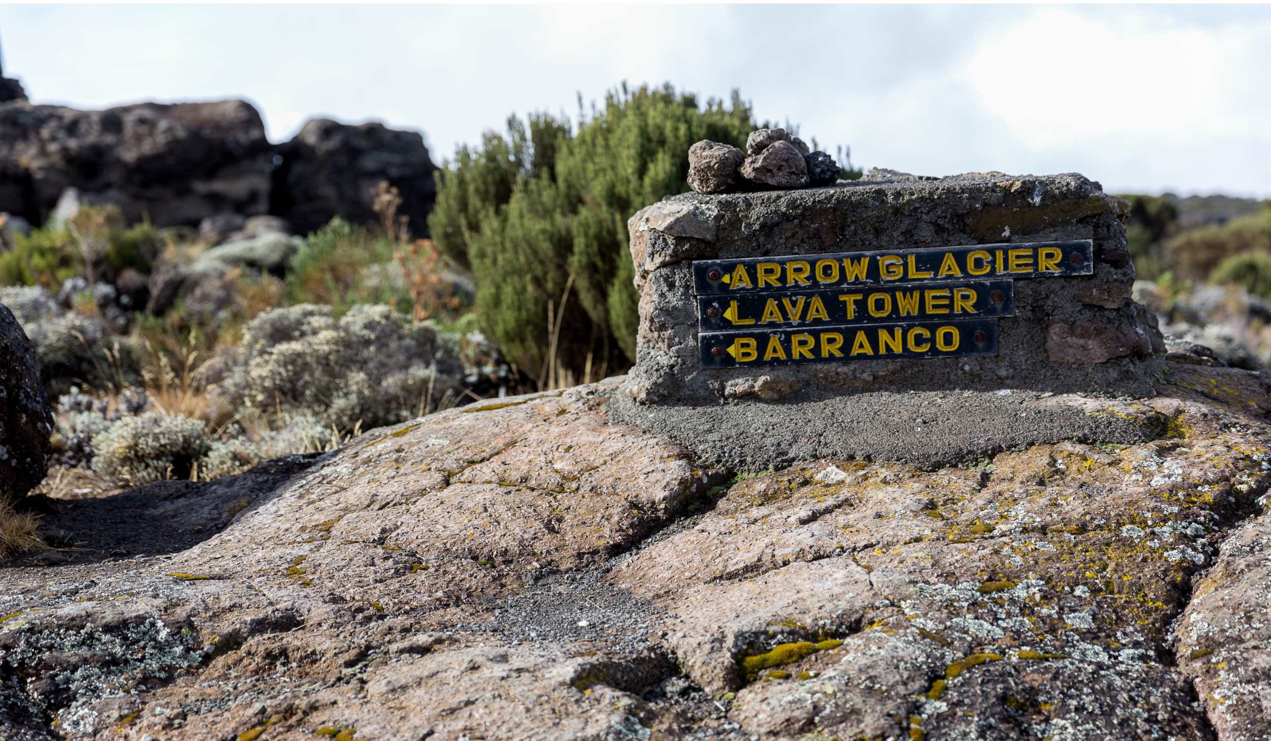 Lemosho Route (3/7) | Shira 2 Camp (3.890 m) - Lava Tower (4.630 m) - Barranco Camp (3.950 m)