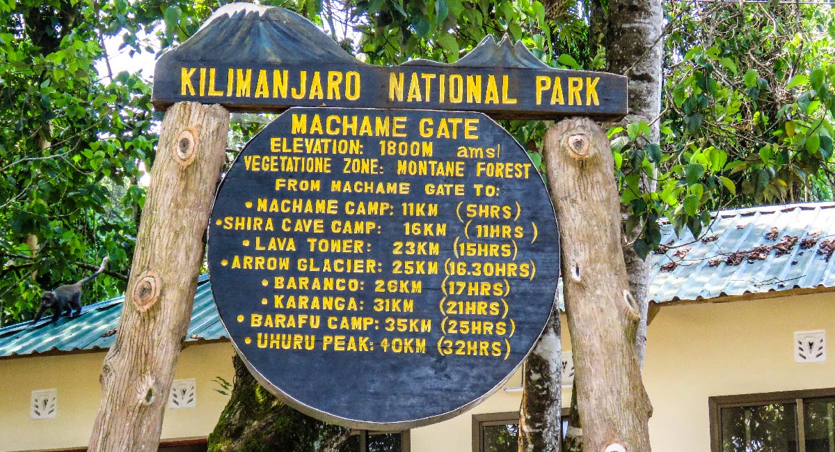 Machame-ruten (1/7) | Machame Gate (1.800 m) – Machame-lejren (2.835 m)