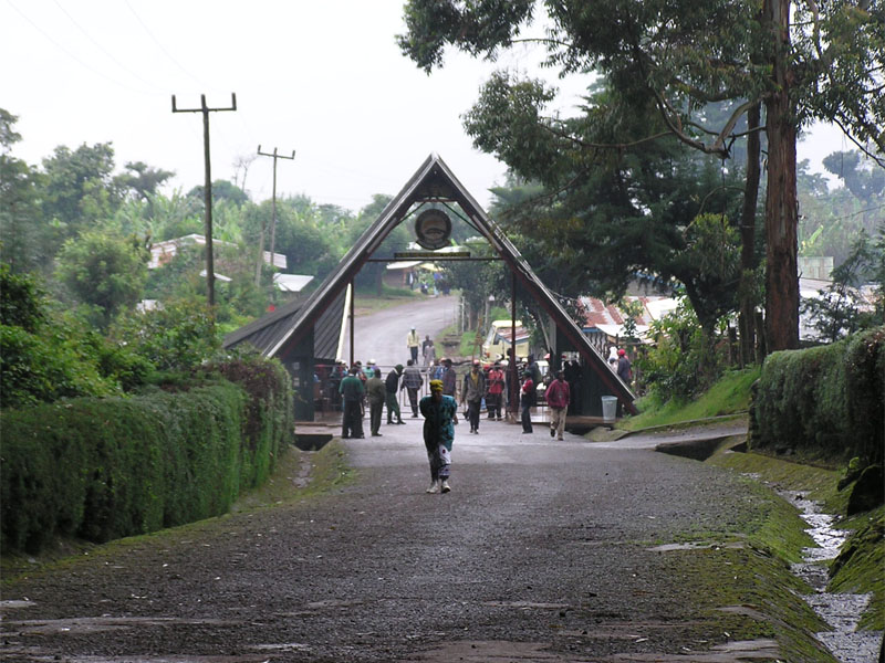 Marangu Route (5/5) | Horombo Huts (3.720 m) – Marangu Gate (1.860 m) – hotel