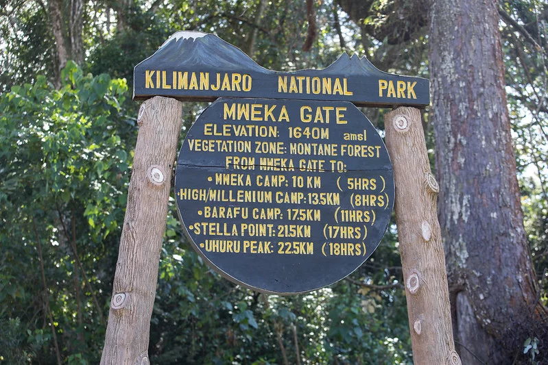 Machame-ruten (7/7) | Millenium Camp (3.820 m) - Mweka Gate (1.640 m) - Hotel
