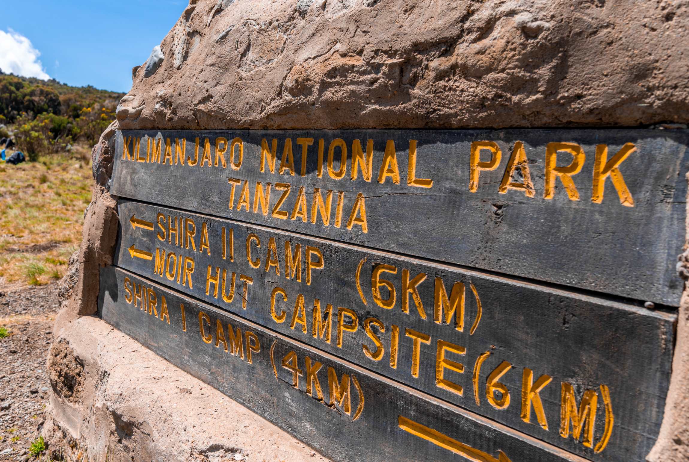 Machame-ruten (2/7) | Machame Camp (2.835 m) - Shira Camp (3.839 m)