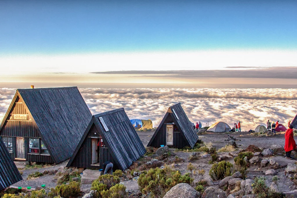 Marangu Route (2/5) | Mandara Hytter (2.720 m) – Horombo Huts (3.720 m)