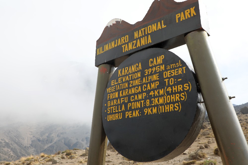 Machame ruten (4/7) | Barranco Camp (3.950 m) - Karanga Camp (4.040 m)
