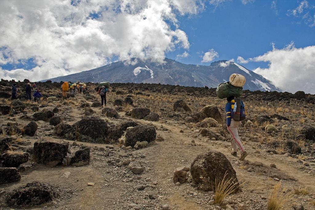 Lemosho-Shira Route (1/6) | Drop off (3.500 m) – Shira 2 Camp (3.890 m)