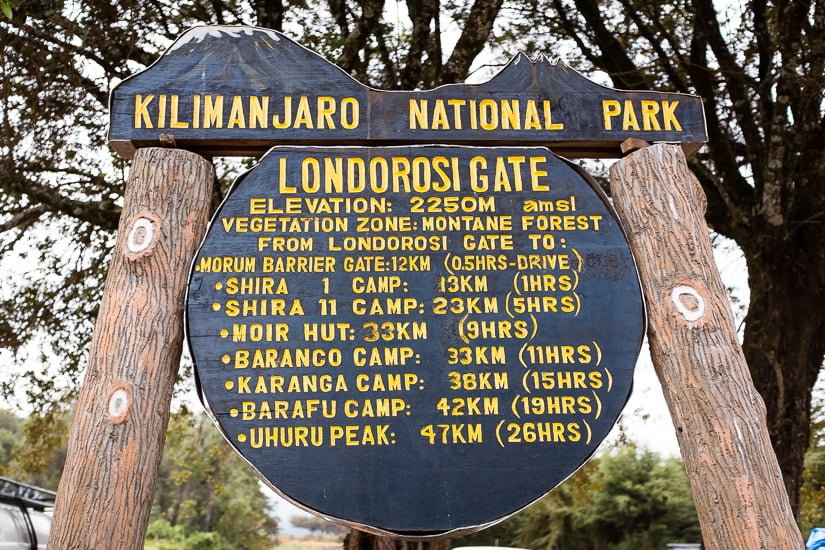 Nordlige Rute (1/8) | Lemosho Trailhead (2.000 m) - Big Tree Camp (2.780 m)