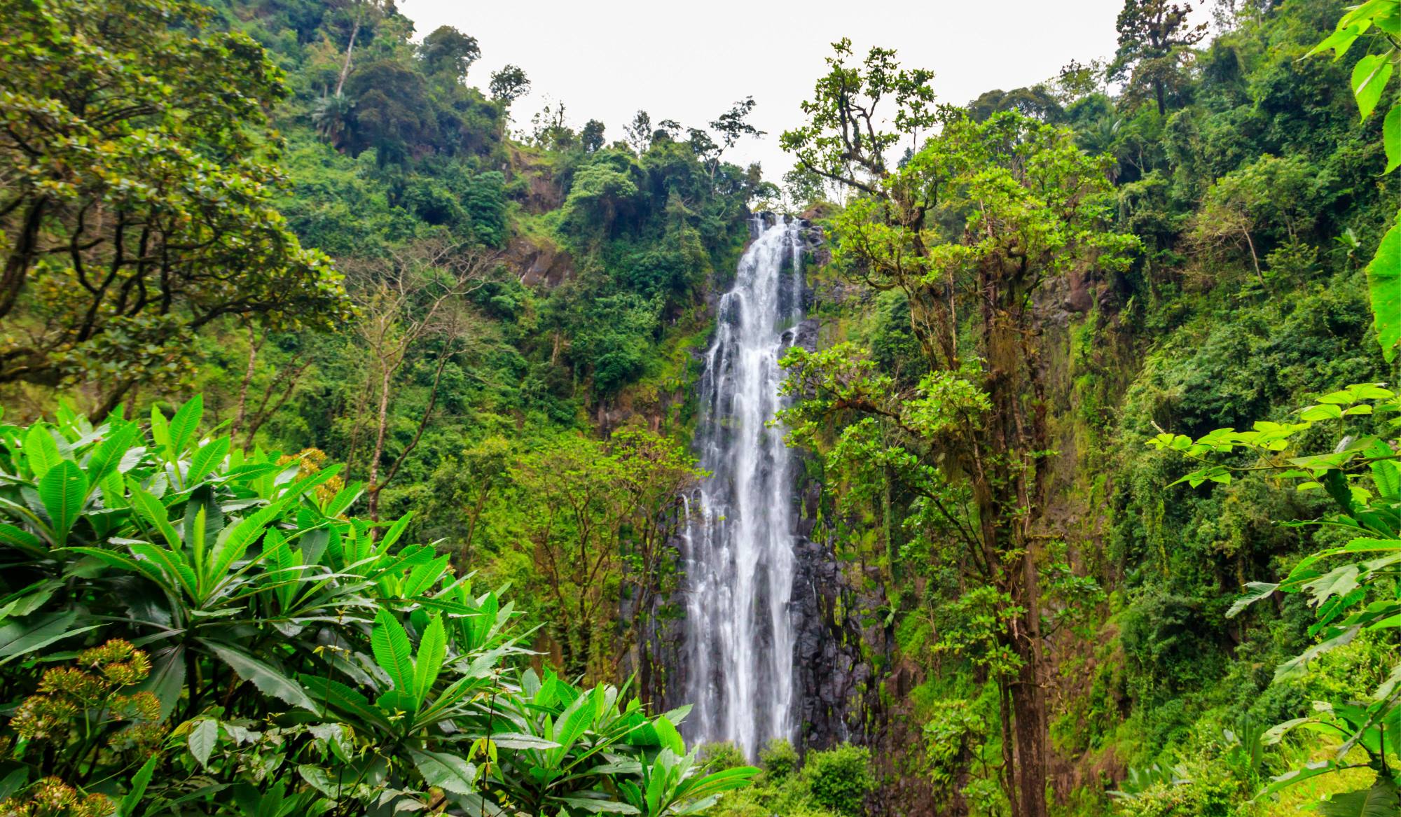 Vandretur fra Materuni landsby til Kuringe Waterfall