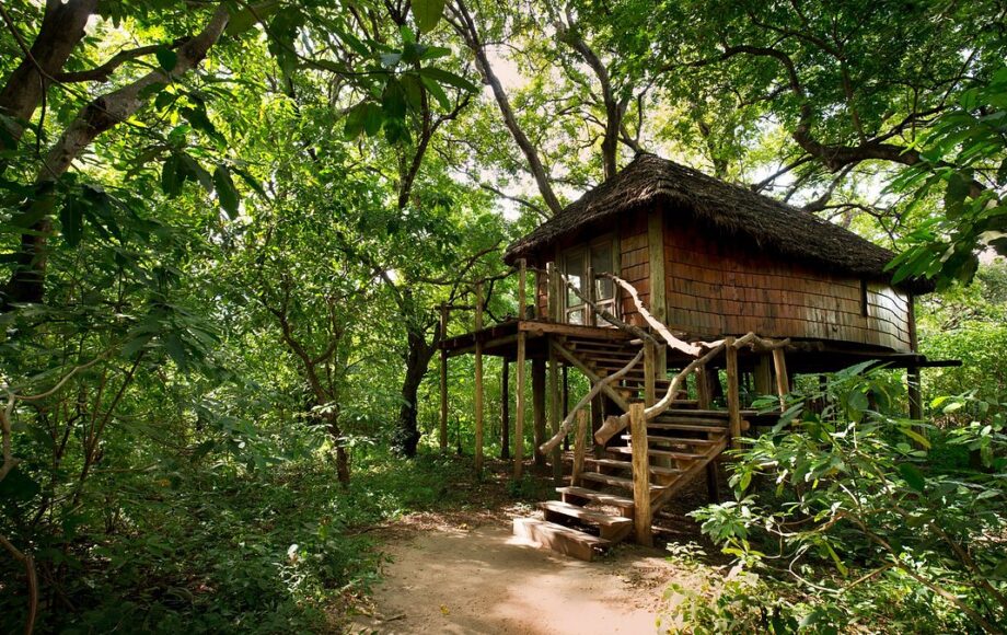 Træbungalow med trappe i junglen ved Lake Manyara.