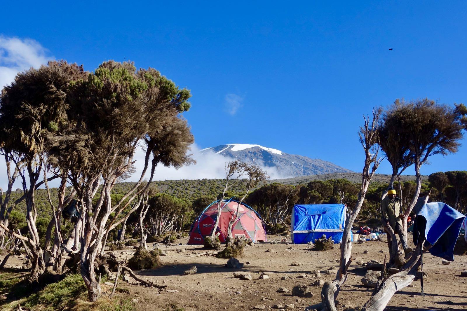 Northern Circuit (7/8) | School Huts Camp (4.710 m) – Uhuru Peak (5.895 m) – Millenium Camp (3.820 m)