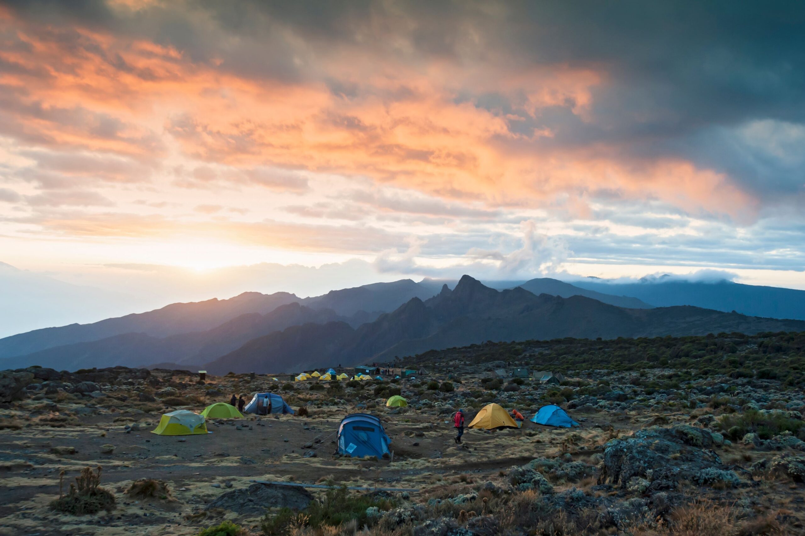Northern Circuit (3/8) | Shira 1-lejr (3.510 m) – Lava Tower (4.630 m)