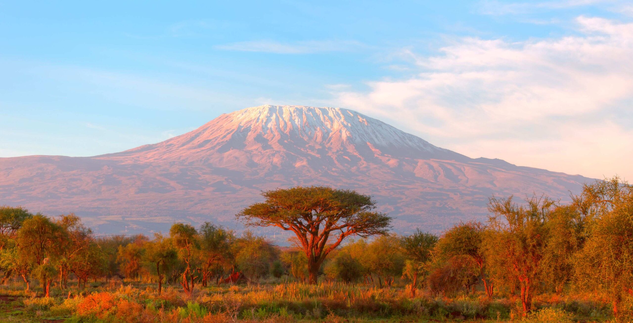 Rongai Route (1/6) | Rongai Gate (1.950 m) – First Cave Camp (2.650 m)