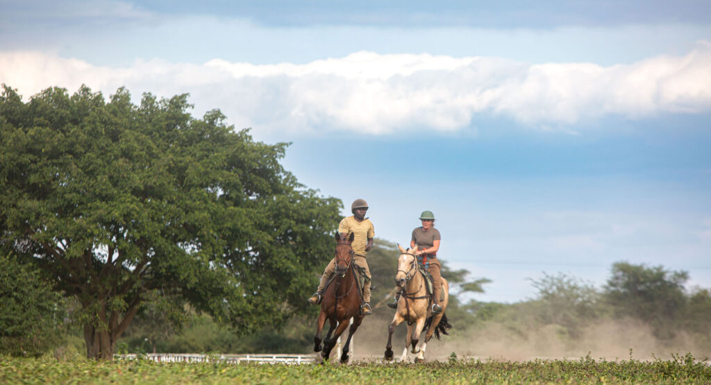 Ridning i Arusha