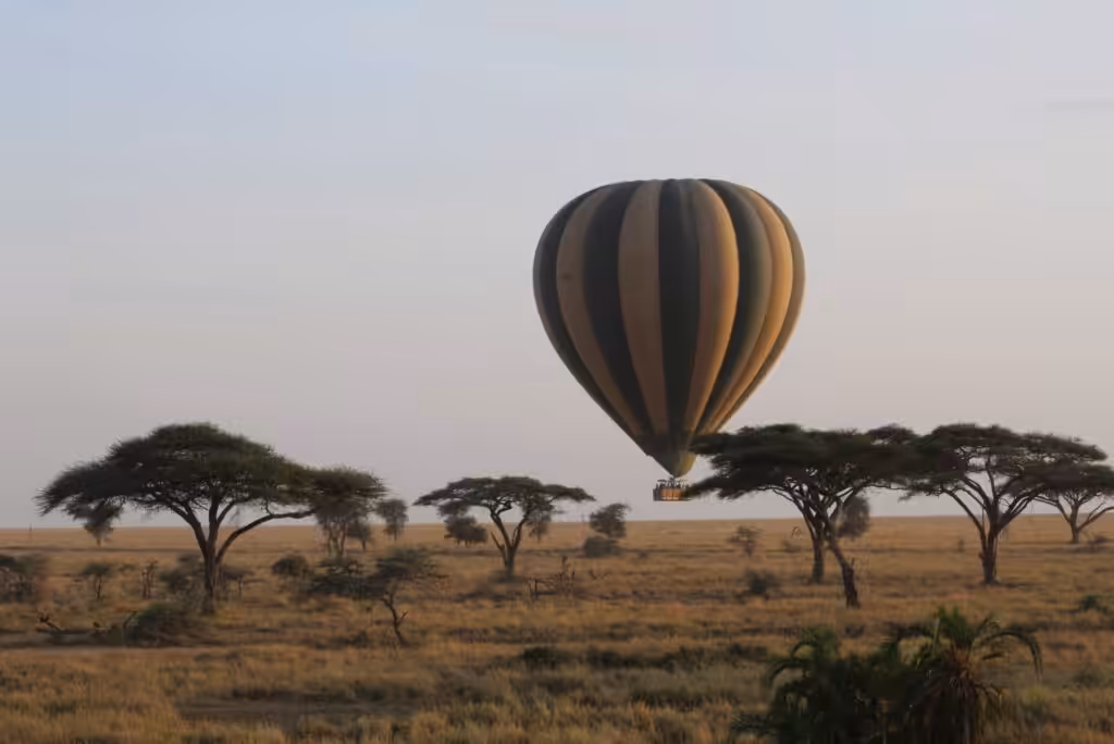 Luftballontur i Serengeti