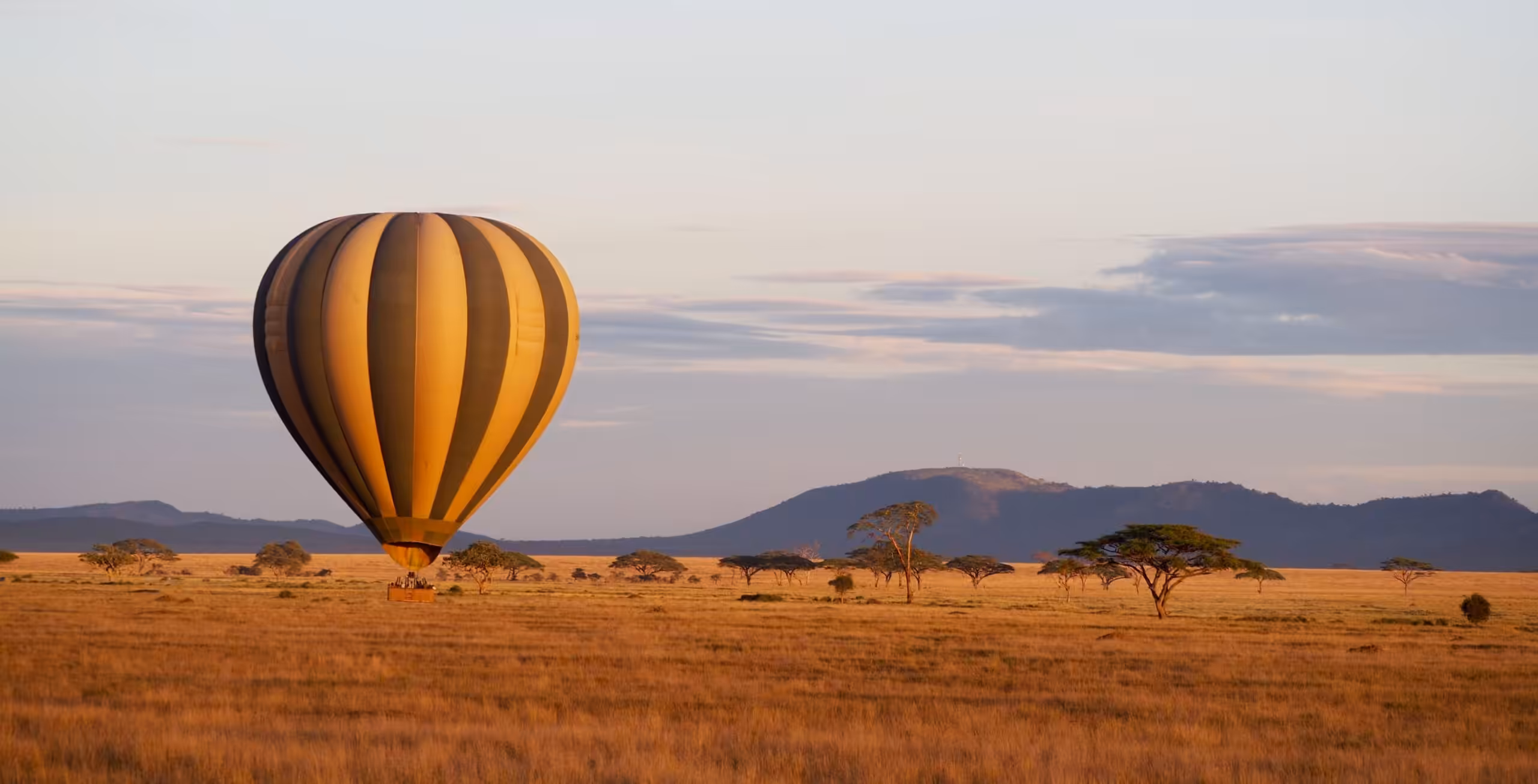 Serengeti National Park - luksussafari!