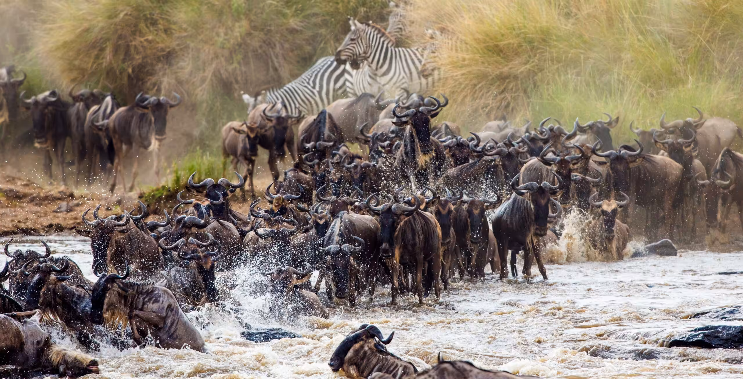 Northern Serengeti og Den store gnuvandring (mulighed for at se den berømte Mara River krydsning)