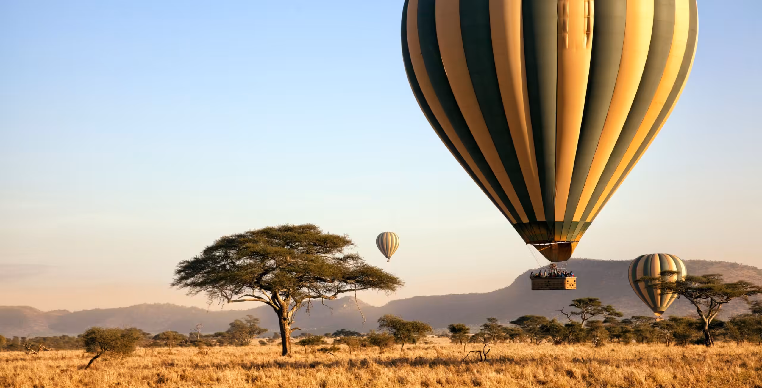 Serengeti National Park (centralt vest / øst)