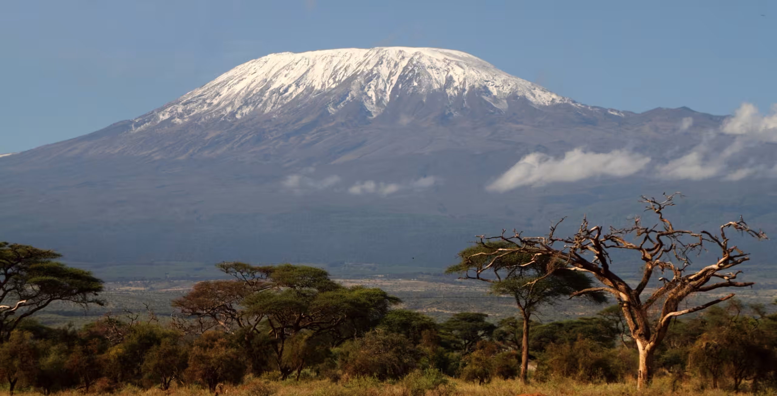 Ankomst til Kilimanjaro Internationale Airport