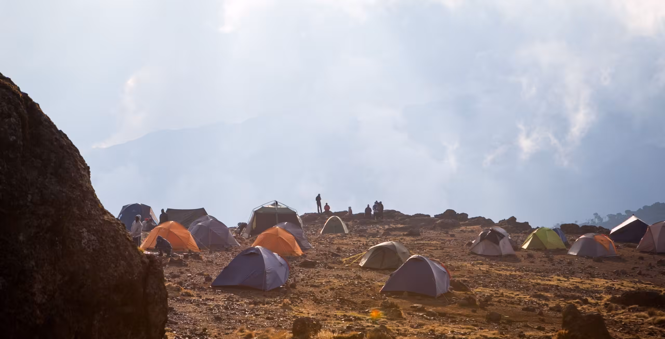 Machame Route (2/6) | Machame Camp (2.835 m) til Shira Camp (3.839 m)