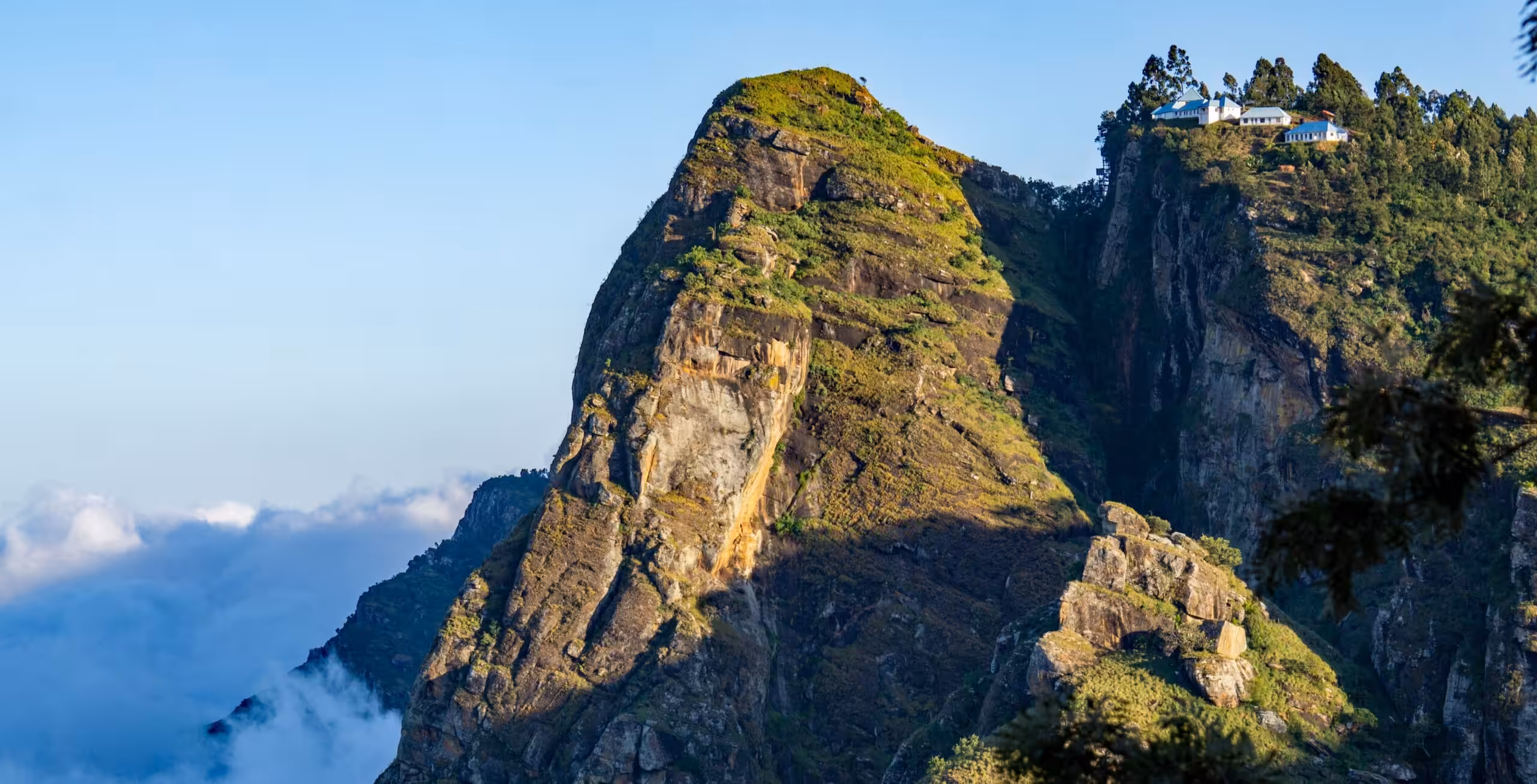 De Vestlige Usambara-bjerge (Western Usambara Mountains)