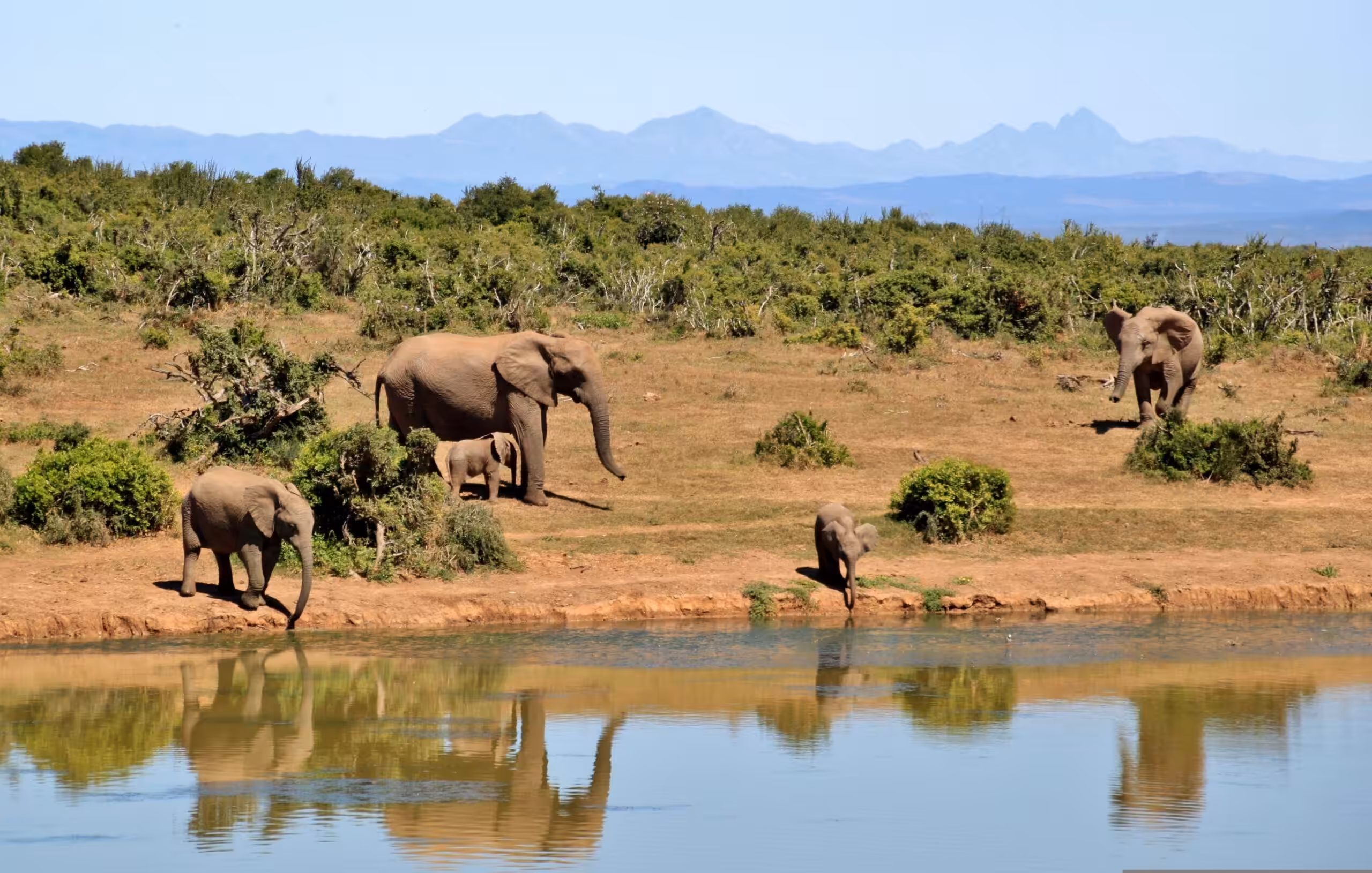 Tarangire National Park luksussafari – med fly