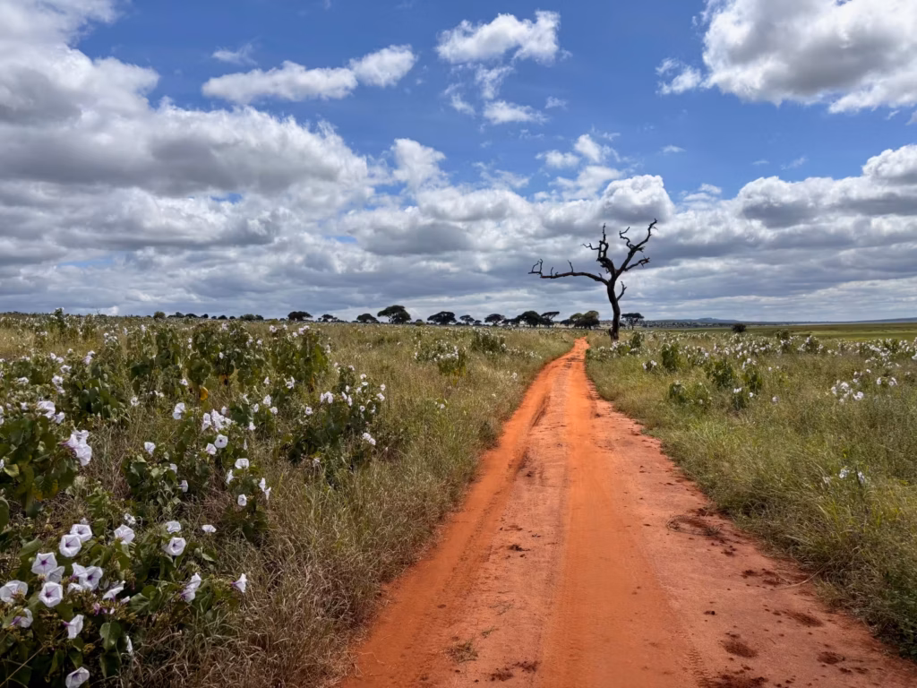 Tarangire road