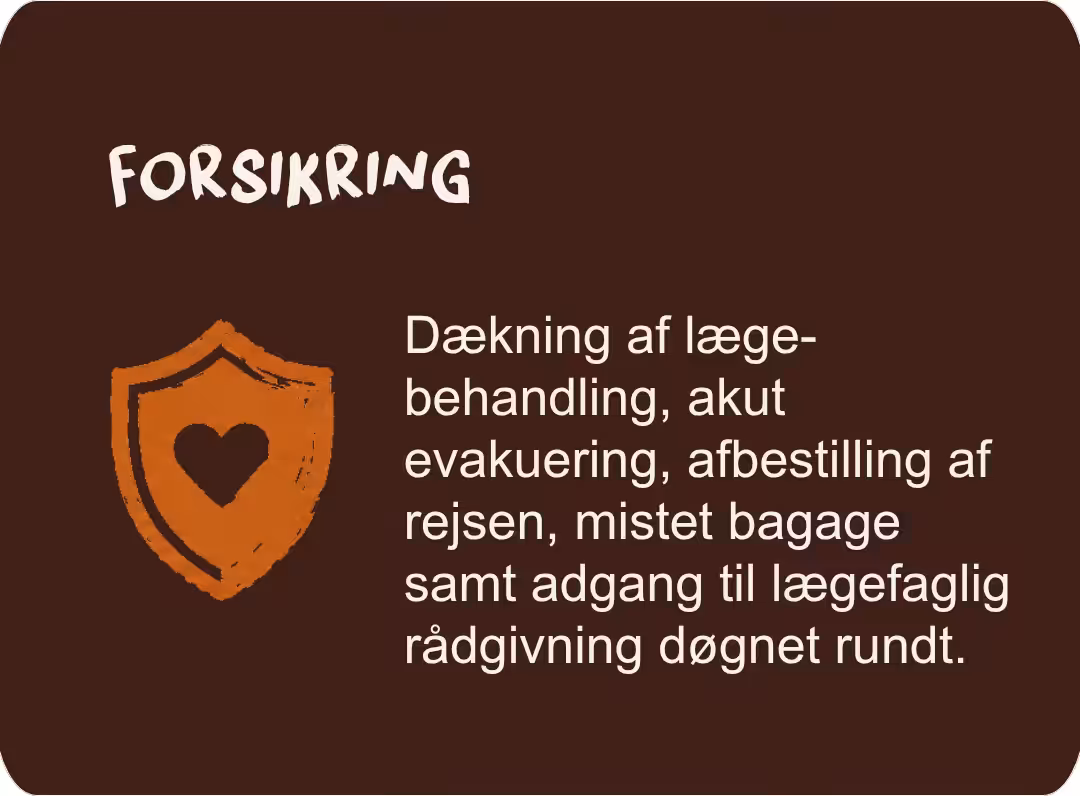 Forsikring