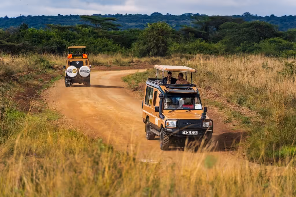 To safarijeeps på en sandvej i den afrikanske bush med passagerer, der kigger ud af det åbne tag