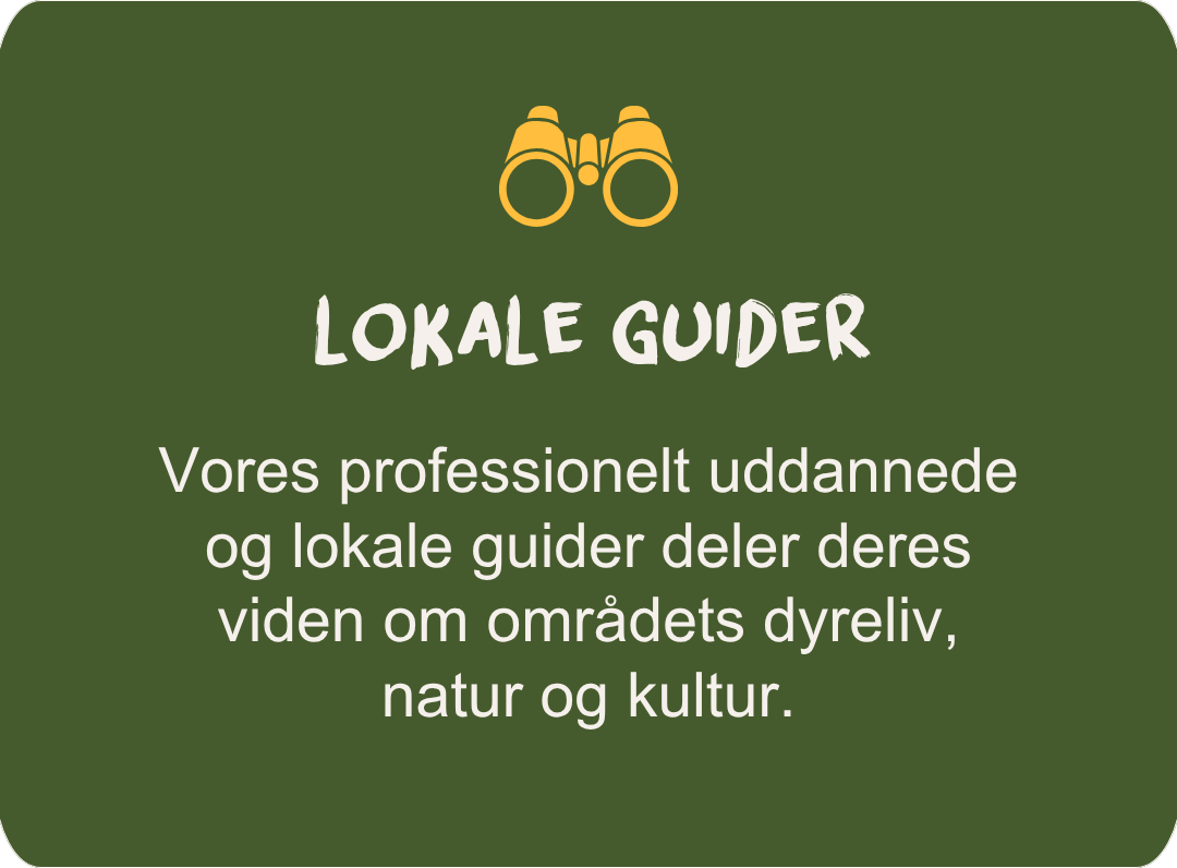 Local guides