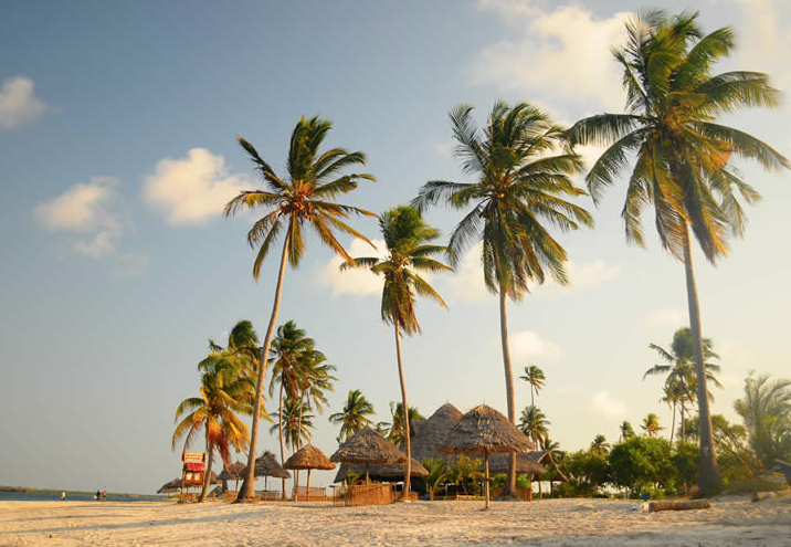 Tanzania Safari Best Time