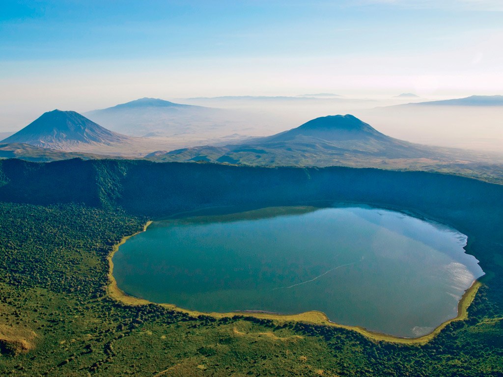 birds of tanzania mountain landscape