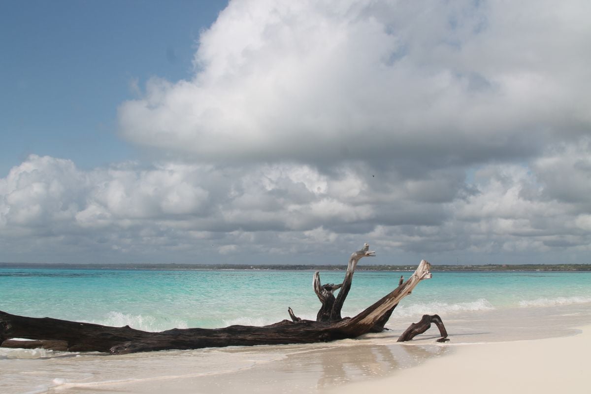 10 Amazing Islands In Tanzania For Your Luxury Adventure