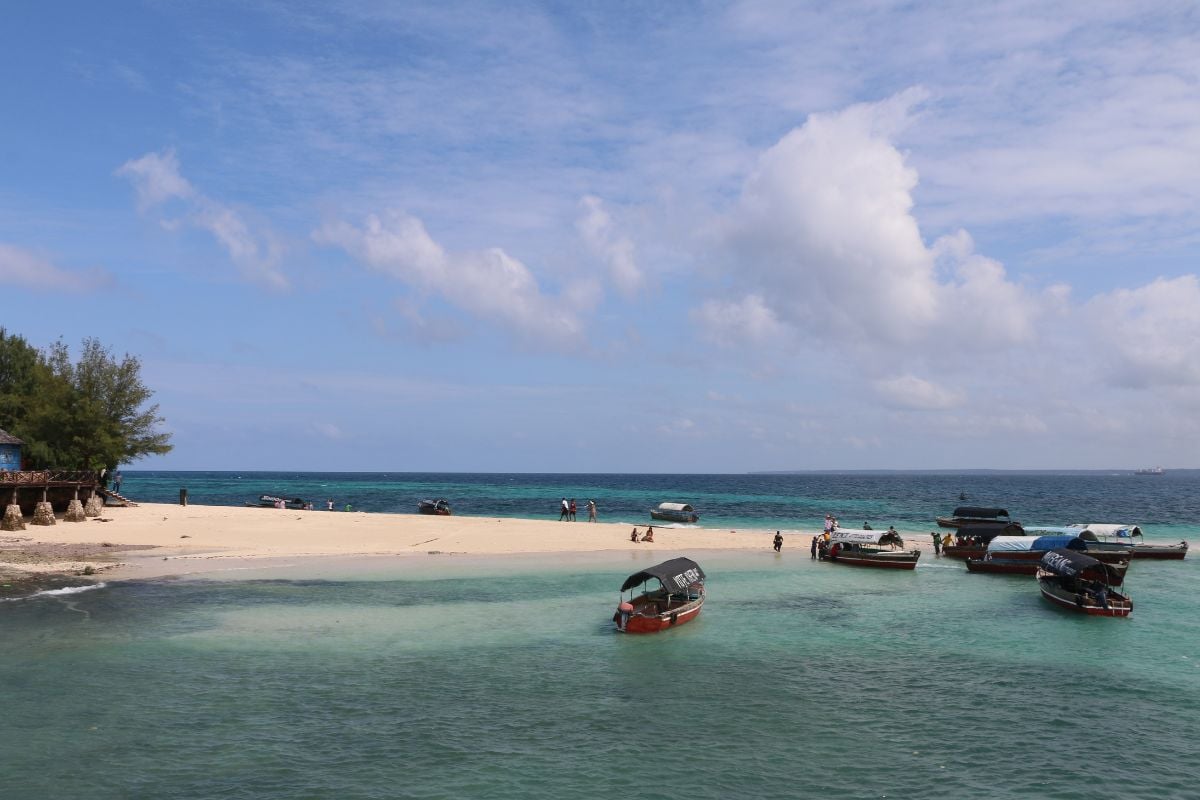 Things To Do In Tanzania - Changuu Island